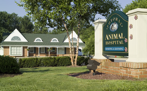 Potomac Animal Hospital